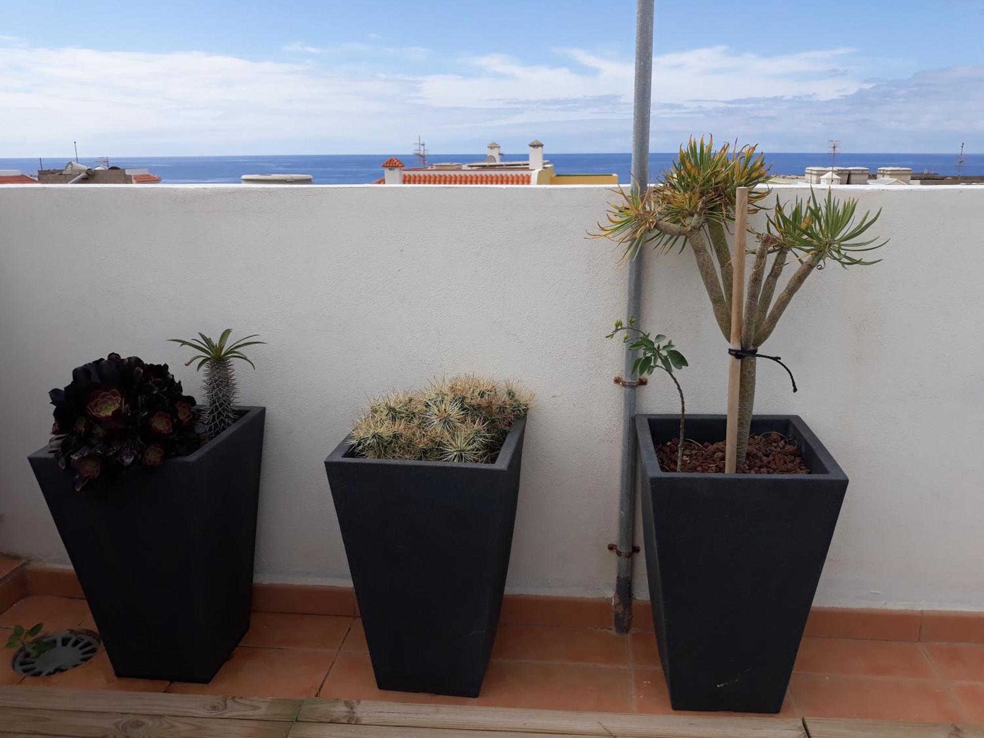 Plaza Vista Mar Dos Lejlighed Los Abrigos Eksteriør billede